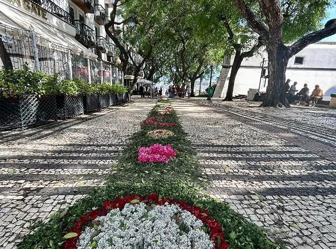 Santa Catarina By Olá Madeira Apartamento *