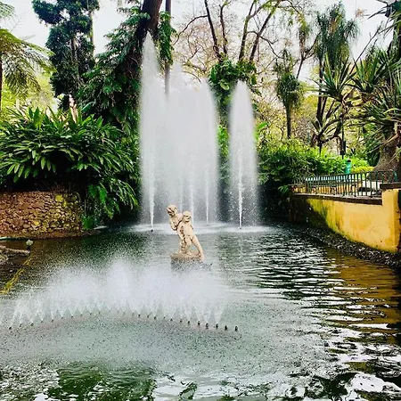 Santa Catarina By Ola Madeira Φουνκάλ