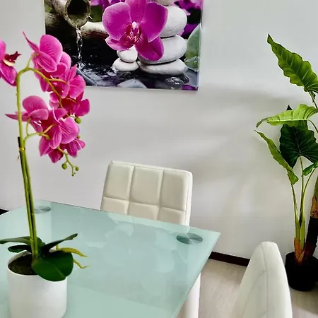 Santa Catarina By Olá Madeira *