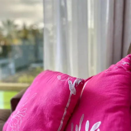 Santa Catarina By Ola Madeira