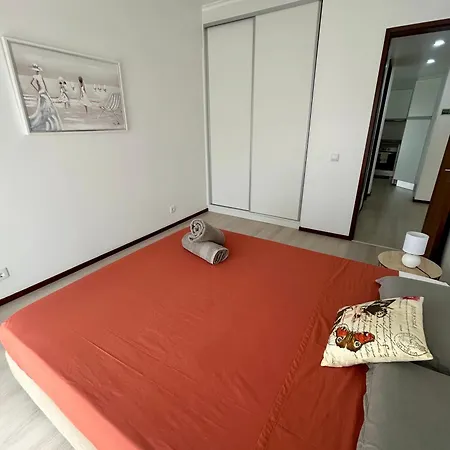 Santa Catarina By Ola Madeira * 丰沙尔