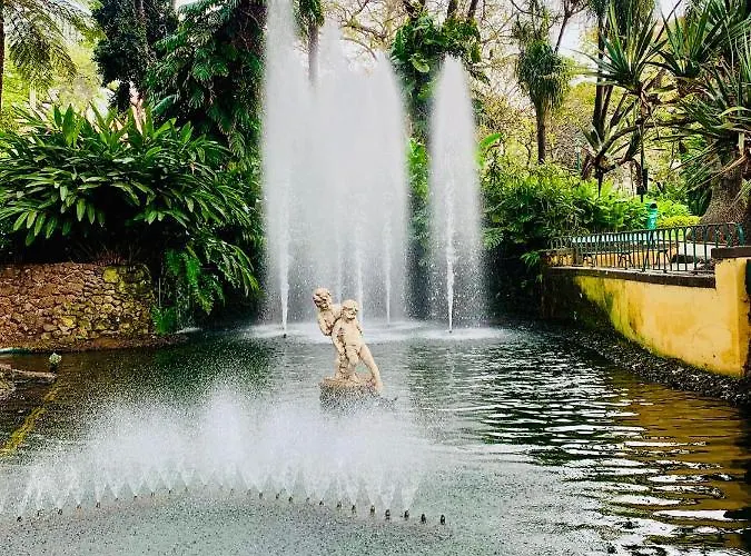 Santa Catarina By Ola Madeira Funchal (Madeira)