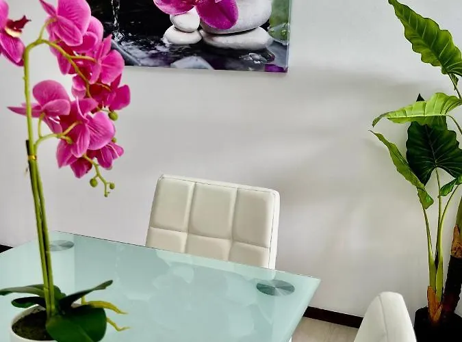 Santa Catarina By Olá Madeira *