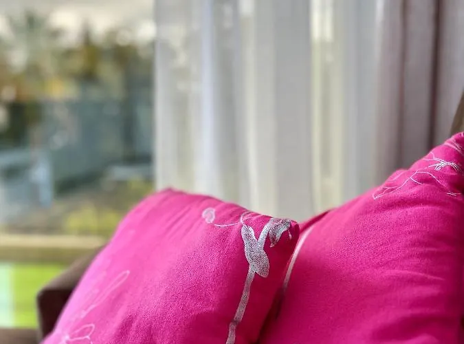 Santa Catarina By Ola Madeira