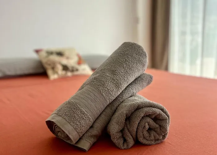 Santa Catarina By Ola Madeira * 丰沙尔