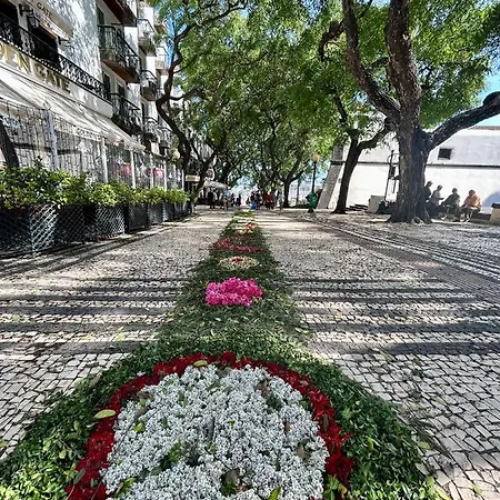 Santa Catarina By Ola Madeira 아파트 *