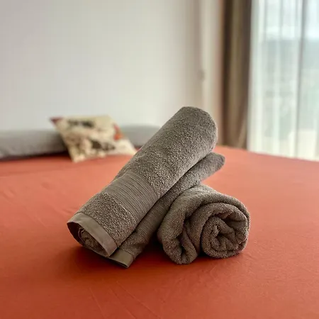 Santa Catarina By Ola Madeira * 푼샬